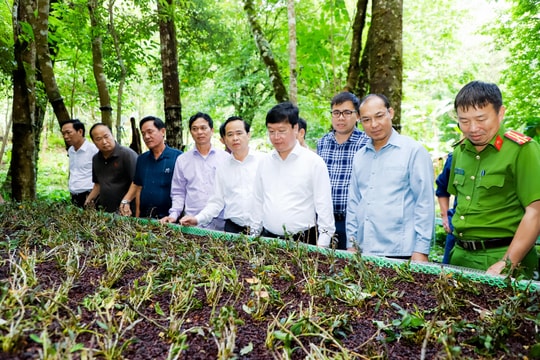 Chủ tịch UBND tỉnh Nguyễn Đức Trung kiểm tra các dự án đầu tư tại huyện Kỳ Sơn