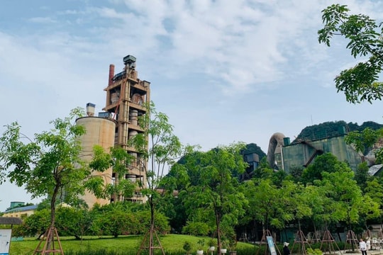  Thêm mảng xanh ở Nhà máy Xi măng sông Lam 2