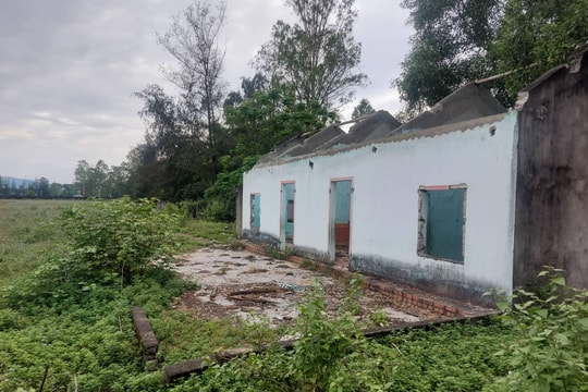 UBND thành phố Vinh kiến nghị thu hồi khu đất thực hiện Dự án Vườn Cam Nghi Ân