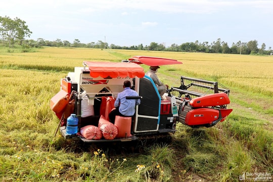 Bỏ quy hoạch sản phẩm trong lĩnh vực nông nghiệp là một bước tiến rất lớn