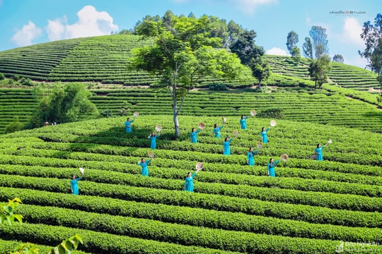 Hấp dẫn cảnh sắc Anh Sơn 