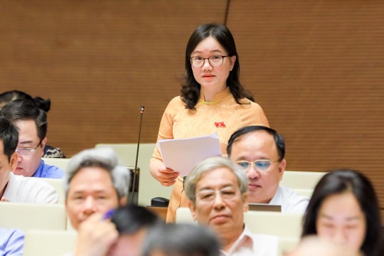 Đại biểu Quốc hội Đoàn Nghệ An nêu ý kiến nhằm bảo vệ quyền, lợi ích của chủ thể sở hữu trí tuệ