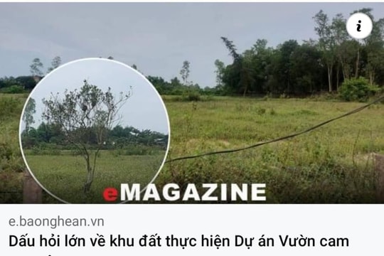UBND tỉnh Nghệ An chỉ đạo xem xét thu hồi đất thực hiện Dự án Vườn cam Nghi Ân