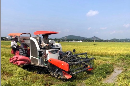 Nghệ An: Năng suất vụ xuân 2022 bình quân đạt gần 67 tạ/ha