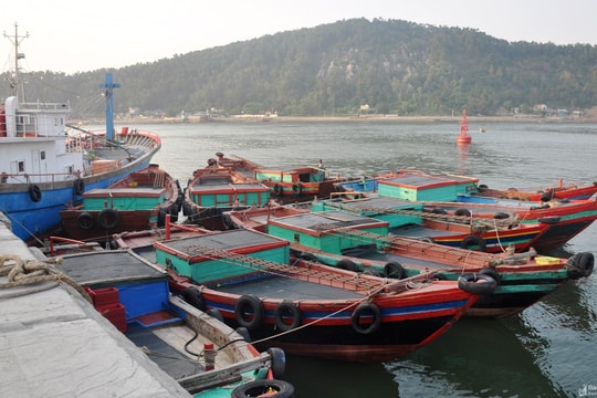 Nghệ An: Yêu cầu ngư dân không neo đậu tàu thuyền tại cảng Cửa Lò sau ngày 31/8/2022