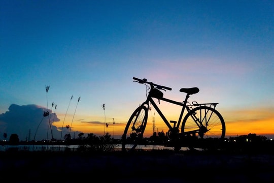 Từng bước tới... bình an