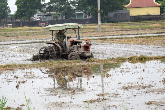 Nghệ An: Nhiều địa phương chậm tiến độ sản xuất lúa hè thu