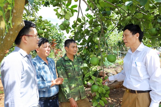 Nghĩa Đàn: Rà soát, đốc thúc hoàn thành các chỉ tiêu nghị quyết