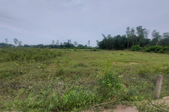 Vụ việc Dự án Vườn cam Nghi Ân: Đề nghị UBND tỉnh chỉ đạo thực hiện Kết luận thanh tra số 460