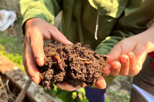 Hướng đi mới tạo sinh kế bền vững cho người dân Quỳ Hợp