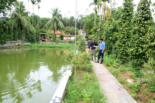 Xã Tân Hương (Tân Kỳ) hoàn thiện từng tiêu chí để cán đích nông thôn mới