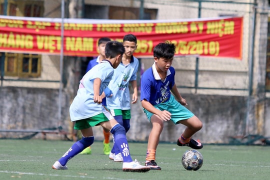 Hình ảnh các đội bóng nhi đồng tham gia Cúp Báo Nghệ An