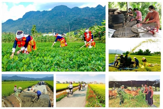 Đôn đốc triển khai quyết liệt các chương trình mục tiêu quốc gia