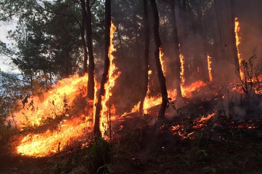 Nghệ An: Cảnh báo cháy rừng ở cấp cực kỳ nguy hiểm