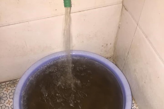 Nhiều người dân thành phố Vinh bức xúc vì nước sinh hoạt bẩn, có mùi tanh
