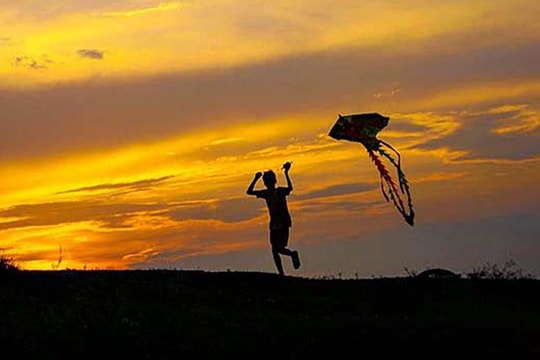 Triền đê gió lộng