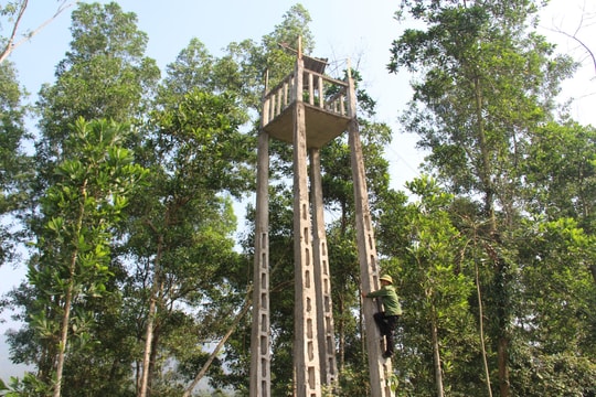 Nghệ An: Nhiều chòi canh lửa rừng bị xuống cấp nghiêm trọng