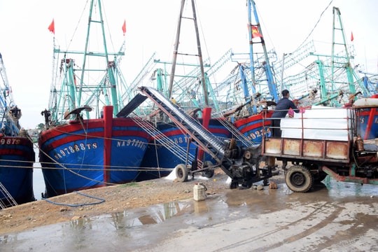 Ngư dân Nghệ An 'tiến thoái lưỡng nan' trước giá dầu tăng chưa từng có