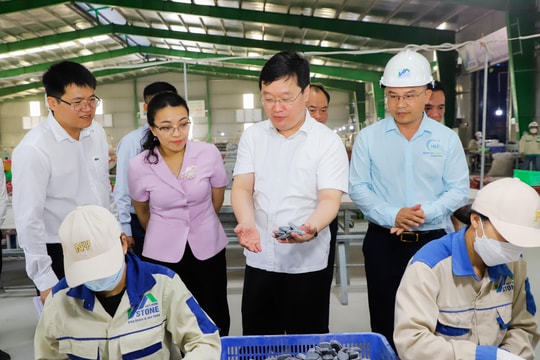 Chủ tịch UBND tỉnh Nguyễn Đức Trung khảo sát tình hình sản xuất, kinh doanh tại huyện Nghĩa Đàn