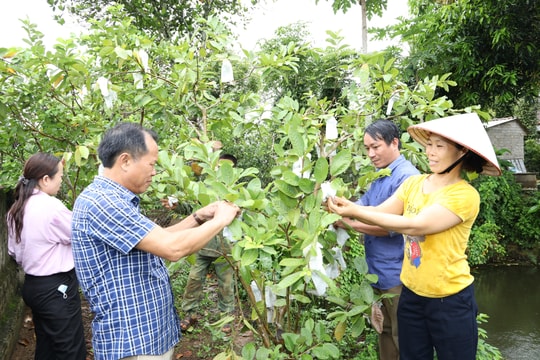 Phát huy vai trò của nhân dân trong đấu tranh, đẩy lùi sự suy thoái 