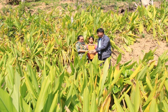 Đổi thay ở Phá Lõm