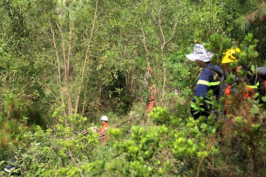  Bảo vệ vành đai xanh quanh khu vực sản xuất