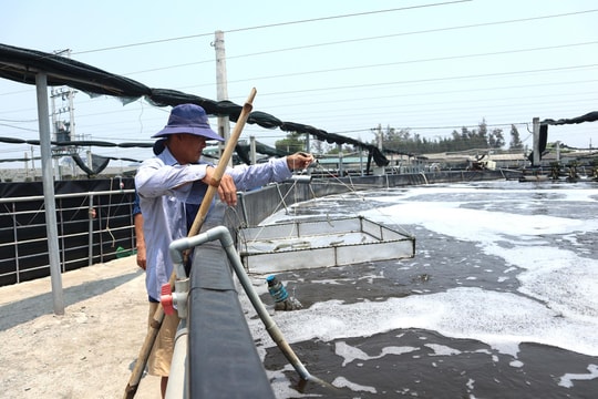 Nông dân Nghệ An 'căng mình' chống nóng cho tôm 