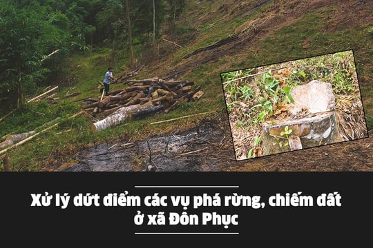 Xử lý dứt điểm các vụ phá rừng, chiếm đất ở xã Đôn Phục (Con Cuông) 