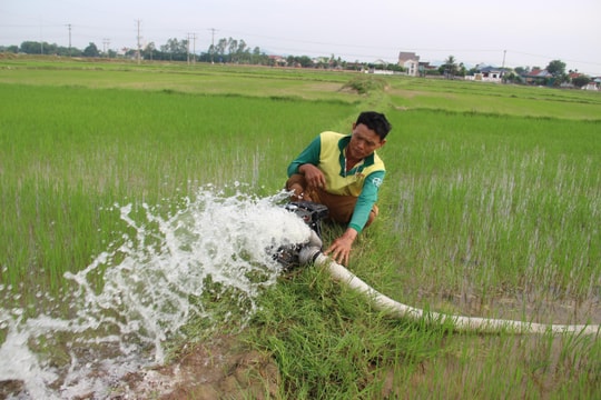 Nghệ An: Tích cực cứu lúa ở vùng cuối kênh bị hạn hán
