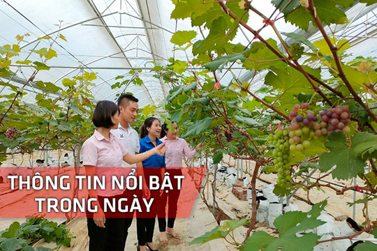 Nghệ An: Thông tin nổi bật ngày 26/6