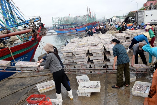 Nghệ An bàn giải pháp tháo gỡ khó khăn cho ngư dân