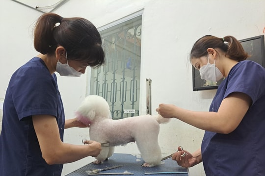 Chọn nghề từ tình yêu dành cho thú cưng