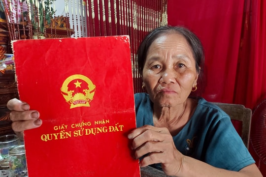 Nhiều khuất tất trong vụ tranh chấp đất đai giữa anh em ruột ở Quỳnh Giang (Quỳnh Lưu)