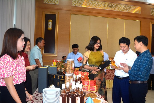 Bức tranh kinh tế tập thể của Nghệ An có nhiều điểm sáng