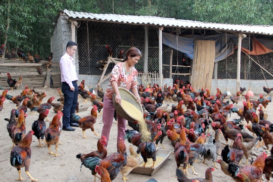 Điểm tựa vững chắc của người dân Đô Lương