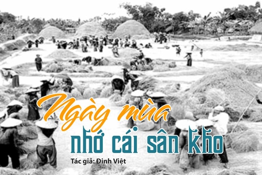Tản văn hay: Ngày mùa nhớ cái sân kho