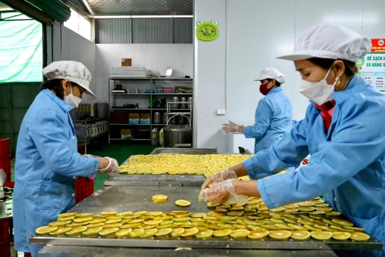 Những rào cản trong nâng hạng 'sao' OCOP