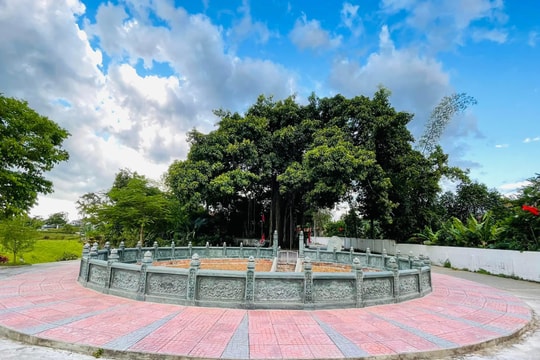 Đệ nhất giếng làng ở Nam Đàn