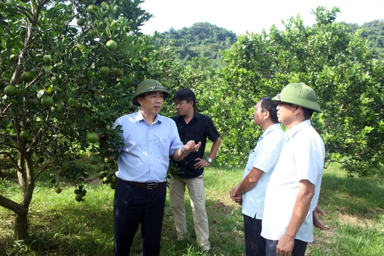 Nâng cao hiệu quả lưu trữ hồ sơ và áp dụng lịch canh tác cho nông dân 