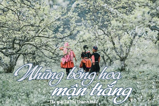 Đọc truyện đêm khuya: Những bông hoa mận trắng