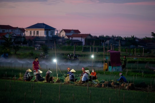 Nông dân Nghệ An sản xuất thích nghi với nắng nóng gay gắt
