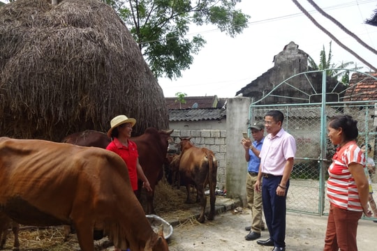 20 năm tín dụng chính sách đồng hành cùng người dân Yên Thành