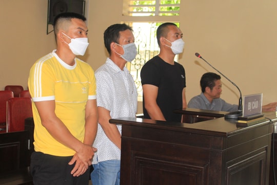 Tuyên án 3 công nhân trộm tài sản Công ty TNHH mía đường Nghệ An