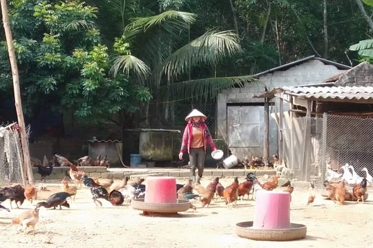 20 năm tín dụng chính sách đồng hành cùng huyện nghèo Quỳ Châu