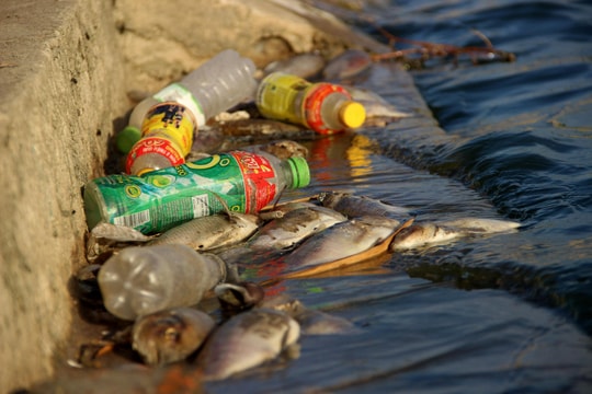 Nâng cao truyền thông về giảm thiểu rác thải nhựa đại dương