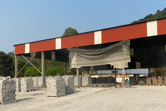 Gạch không nung vẫn 'tắc' đầu ra 