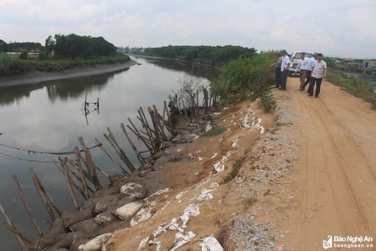 Cử tri huyện Quỳnh Lưu kiến nghị sửa chữa hệ thống đê biển chắn sóng