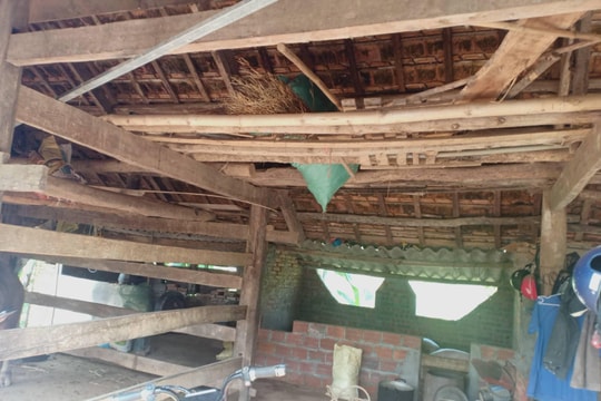 Tá hỏa phát hiện người đàn ông trong tư thế treo cổ tại chuồng trâu