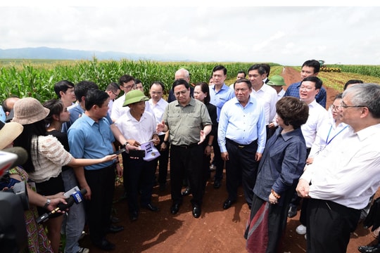 Cuộc trò chuyện của Thủ tướng và người nông dân trên cánh đồng nguyên liệu đạt kỷ lục thế giới