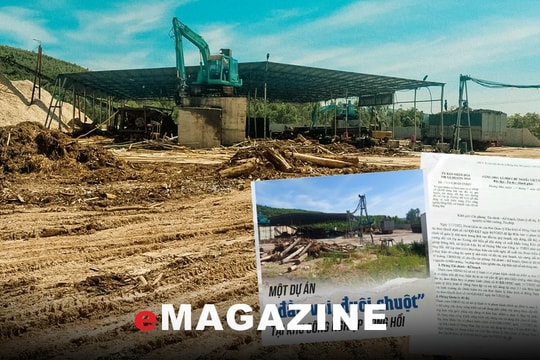 Dự án ‘đầu voi, đuôi chuột’ ở Khu Công nghiệp Đông Hồi vi phạm gì?